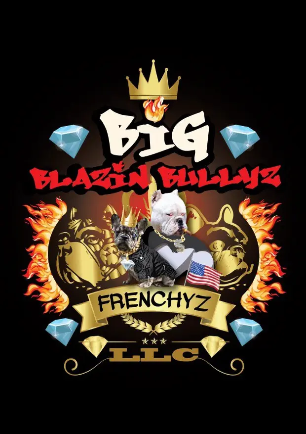 Big Blazin Bullyz poster